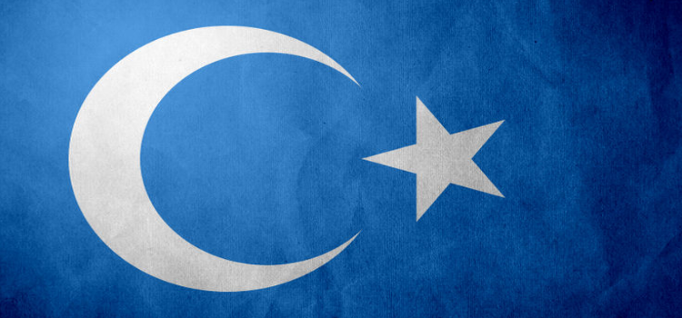 East Turkistan Flag